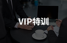 VIP特训